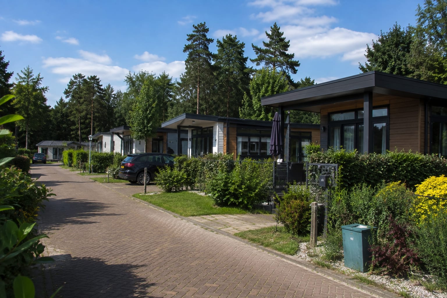 Chalets met veranda langs een laan op een bosrijk vakantiepark